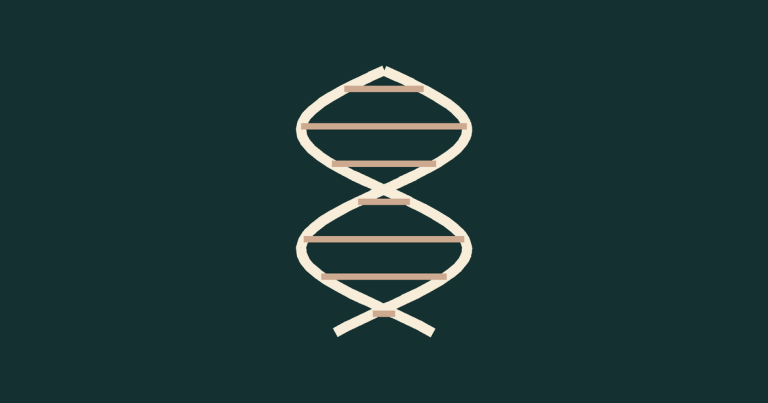 A double helix drawn as two woven lines with rungs between them.