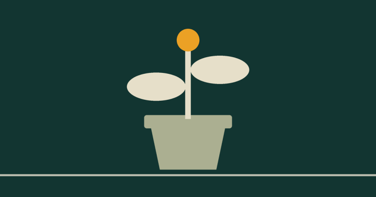 A seedling in a pot, two leaves and a dawn gold bud.